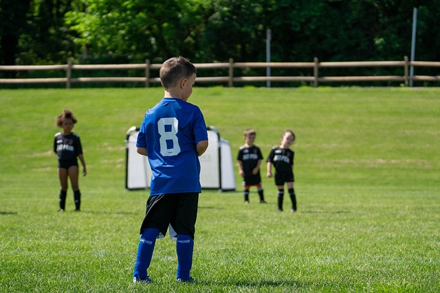 的英超聯賽 的英超聯賽