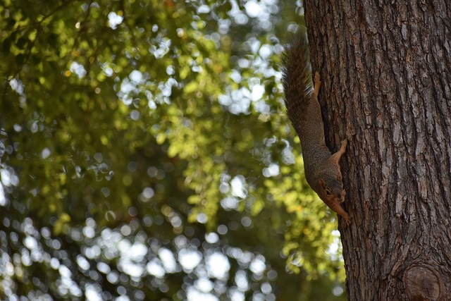 不妨回顧他 不妨回顧他