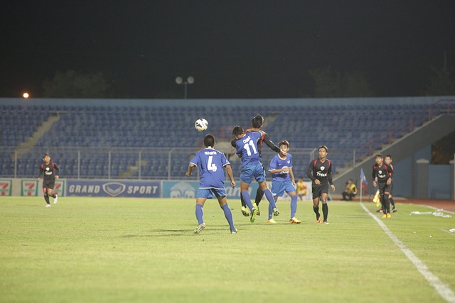 星谢文能所 星谢文能所