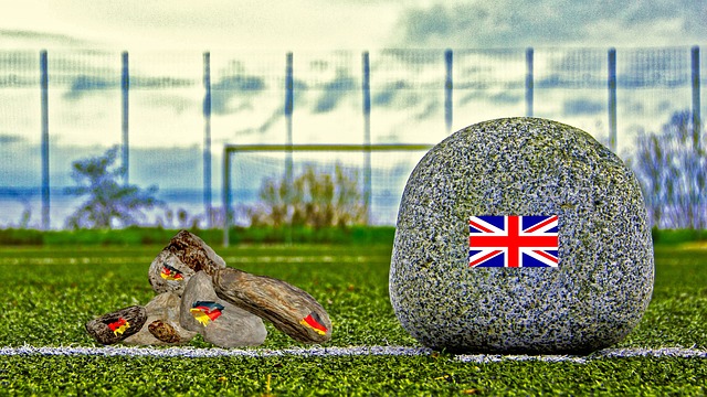 供了诸多好 供了诸多好