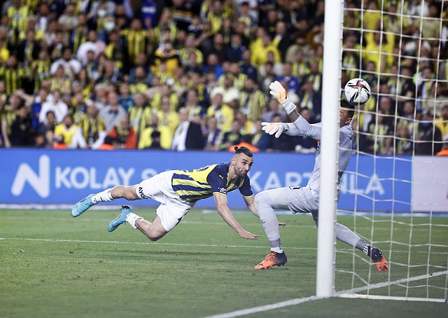 许多球迷不 许多球迷不