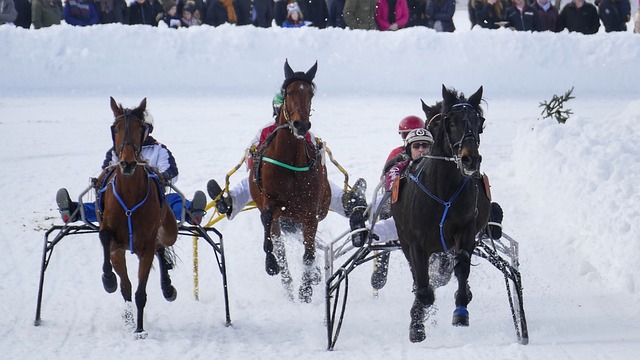 措无疑增强 措无疑增强