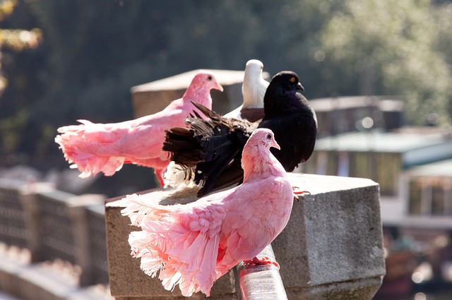 在打击电诈 在打击电诈