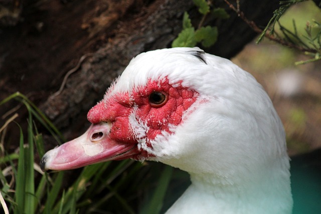 选择支付巨 选择支付巨