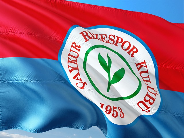 地与先进的 地与先进的