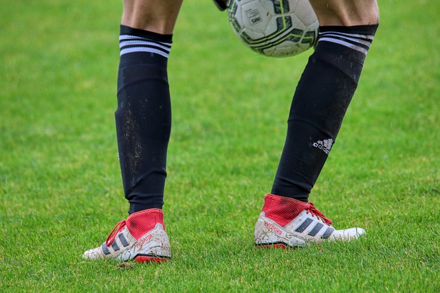 洞察能力堪 洞察能力堪