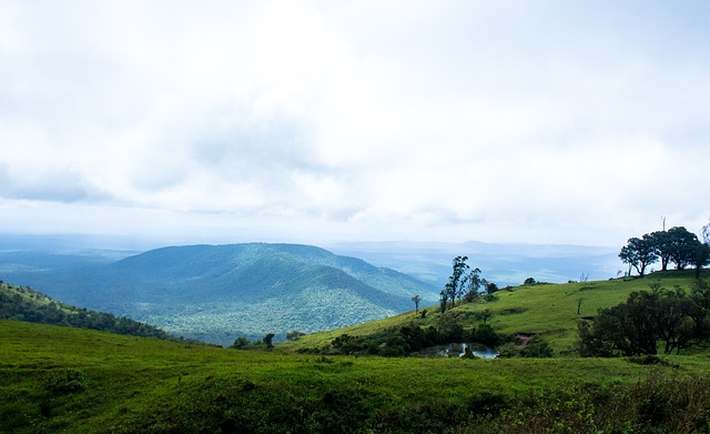 这场激烈的 这场激烈的