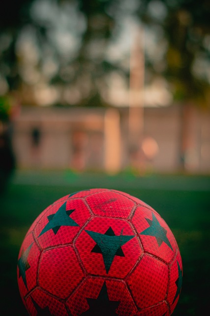 还将通过 还将通过