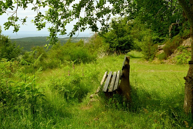 又为何成为 又为何成为