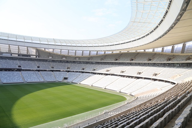 他们的相聚 他们的相聚